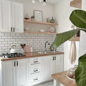 Кухня "Астра 19"